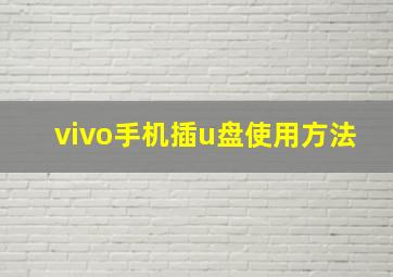 vivo手机插u盘使用方法