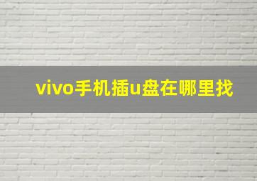 vivo手机插u盘在哪里找