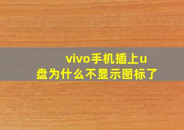 vivo手机插上u盘为什么不显示图标了