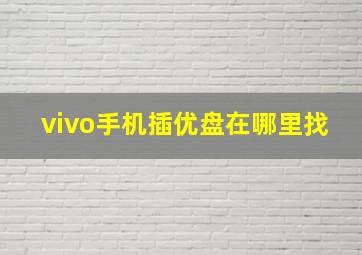 vivo手机插优盘在哪里找