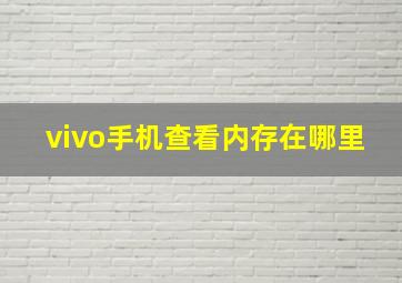 vivo手机查看内存在哪里