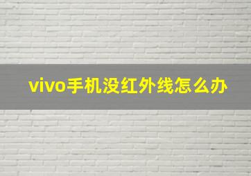 vivo手机没红外线怎么办