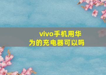 vivo手机用华为的充电器可以吗