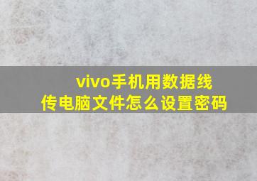 vivo手机用数据线传电脑文件怎么设置密码