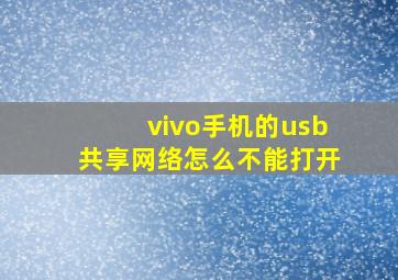 vivo手机的usb共享网络怎么不能打开