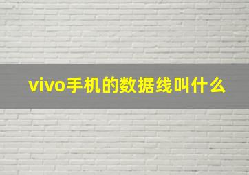 vivo手机的数据线叫什么