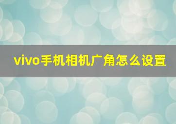 vivo手机相机广角怎么设置