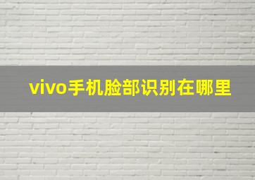 vivo手机脸部识别在哪里