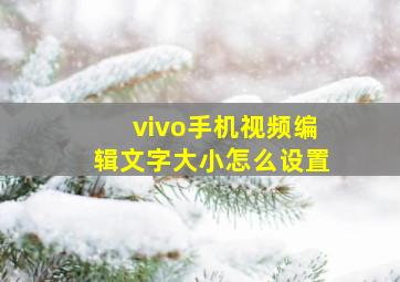 vivo手机视频编辑文字大小怎么设置