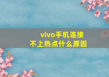 vivo手机连接不上热点什么原因