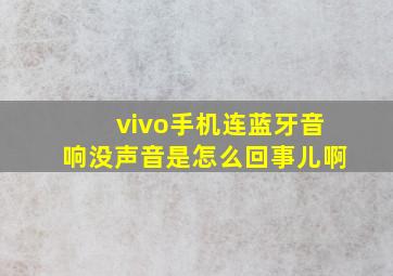 vivo手机连蓝牙音响没声音是怎么回事儿啊