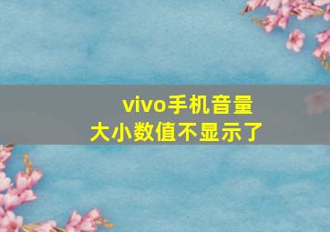 vivo手机音量大小数值不显示了