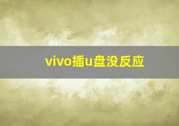 vivo插u盘没反应