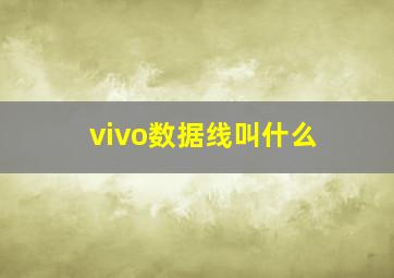 vivo数据线叫什么