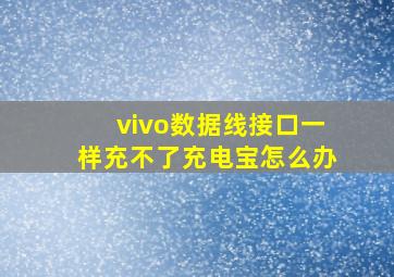 vivo数据线接口一样充不了充电宝怎么办