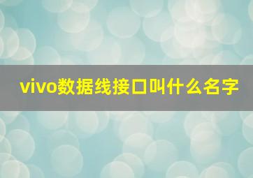 vivo数据线接口叫什么名字