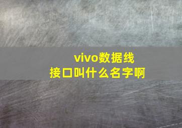 vivo数据线接口叫什么名字啊