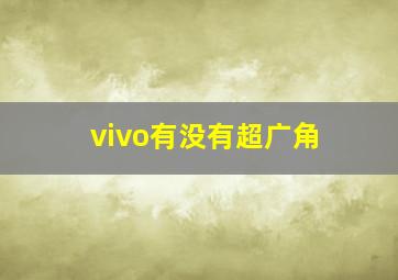 vivo有没有超广角