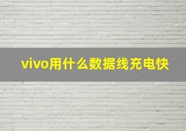 vivo用什么数据线充电快