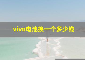 vivo电池换一个多少钱