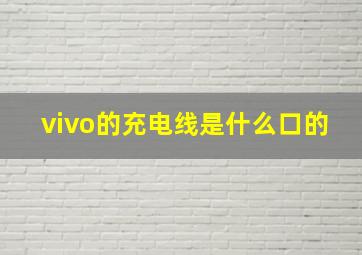 vivo的充电线是什么口的