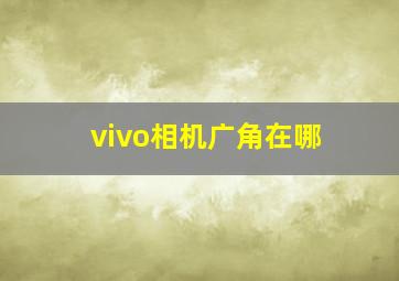 vivo相机广角在哪