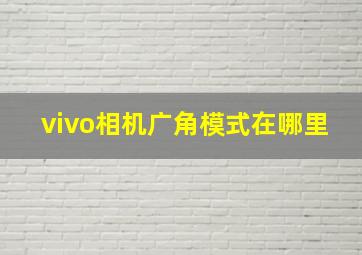 vivo相机广角模式在哪里