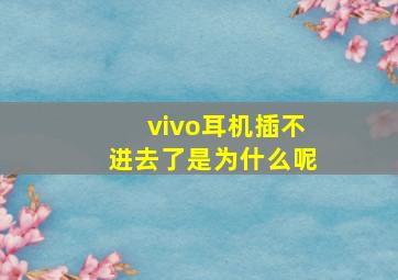 vivo耳机插不进去了是为什么呢