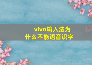 vivo输入法为什么不能语音识字