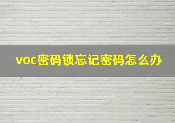 voc密码锁忘记密码怎么办