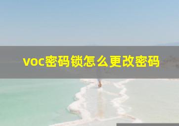 voc密码锁怎么更改密码