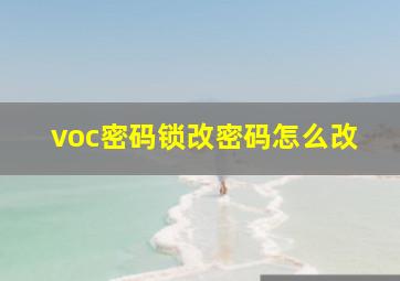 voc密码锁改密码怎么改