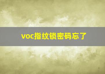 voc指纹锁密码忘了