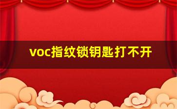 voc指纹锁钥匙打不开