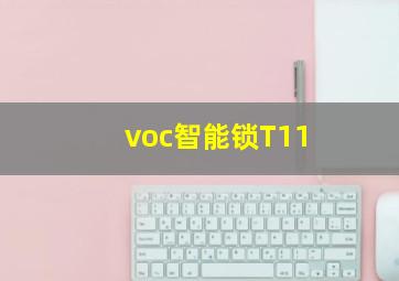 voc智能锁T11