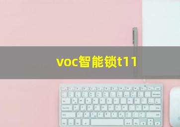 voc智能锁t11