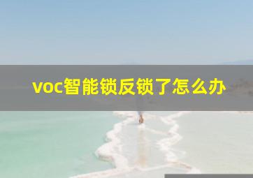 voc智能锁反锁了怎么办