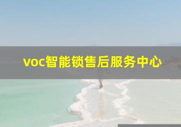 voc智能锁售后服务中心