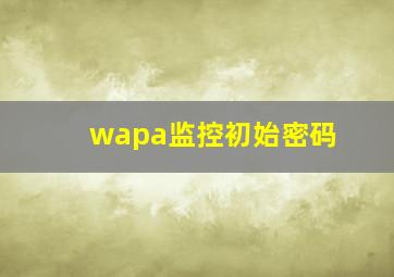 wapa监控初始密码