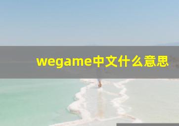 wegame中文什么意思