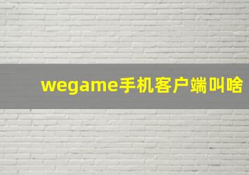 wegame手机客户端叫啥