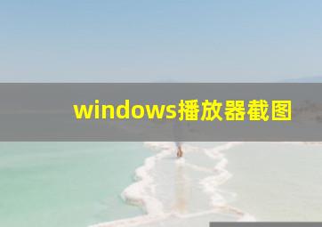 windows播放器截图