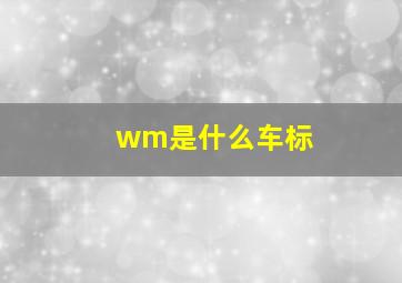 wm是什么车标