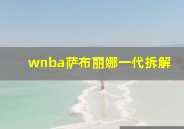 wnba萨布丽娜一代拆解