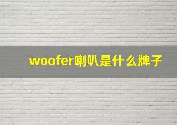 woofer喇叭是什么牌子