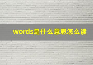 words是什么意思怎么读