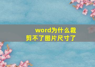 word为什么裁剪不了图片尺寸了