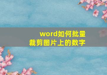 word如何批量裁剪图片上的数字