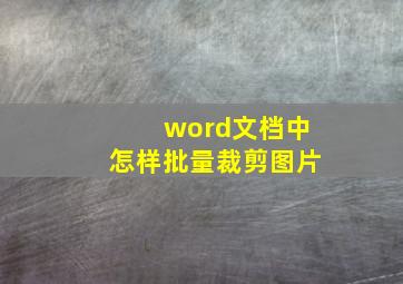 word文档中怎样批量裁剪图片