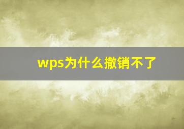 wps为什么撤销不了